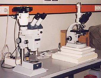 Light microscopes