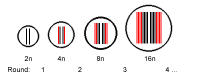 Endoreduplication